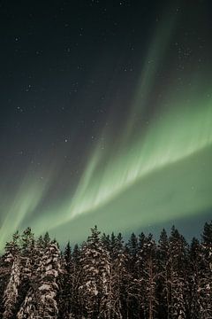 Voyages | Laponie | Finlande | Neige | Lumières du Nord | Aurore boréale sur Iris van Tricht