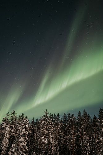 Reisen | Lappland | Finnland | Schnee | Nordlicht | Aurora borealis