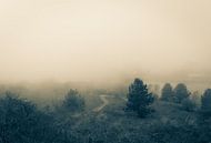 Brouillard par Elle Rowbottom Aperçu