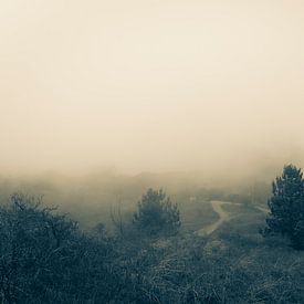 Fog by Elle Rowbottom