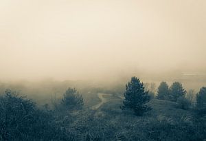 Nebel von Elle Rowbottom