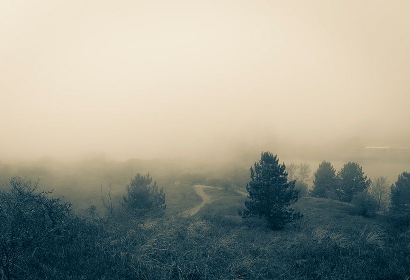 Brouillard par Elle Rowbottom