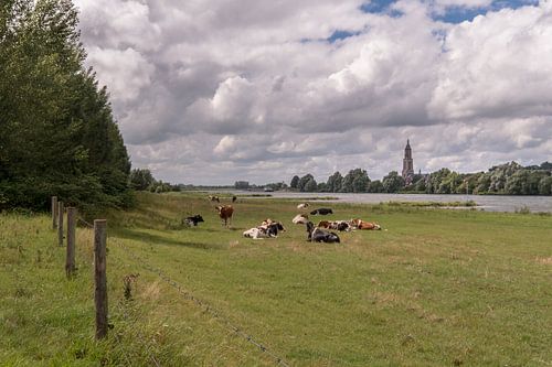 Skyline Rhenen