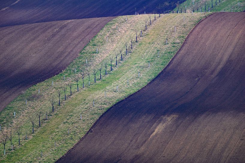 Moravian Highway by Guy Lambrechts Photography