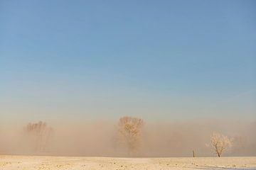 Paysage hivernal de l'IJssel avec neige et brouillard sur Sjoerd van der Wal Photographie