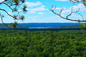 Uitzicht over de wildernis met in de verte een blauw meer van Studio LE-gals