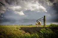 Dreigende lucht van Jaap Terpstra thumbnail