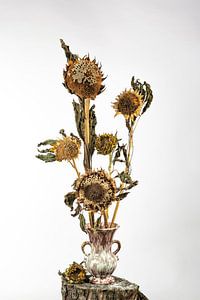 Die Sonnenuntergangsblume