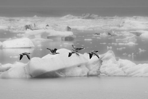 Magische Eislandschaft