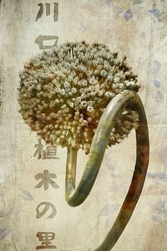 Japanese art. Japan. Nature close-up. Chic. 2 by Alie Ekkelenkamp
