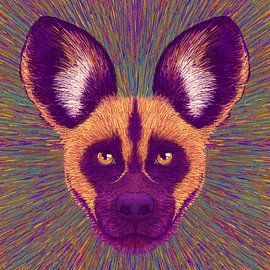 Visage d'animal Chien sauvage sur Rohan Dahotre