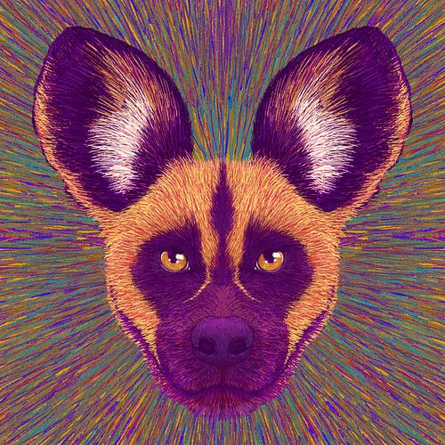 Animal Face   Wild Dog