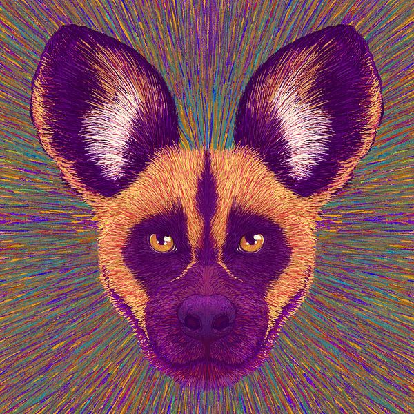 Visage d'animal Chien sauvage par Rohan Dahotre