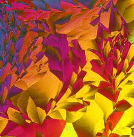 Hydrochinon by André Wieringa