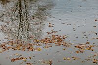 parcourir