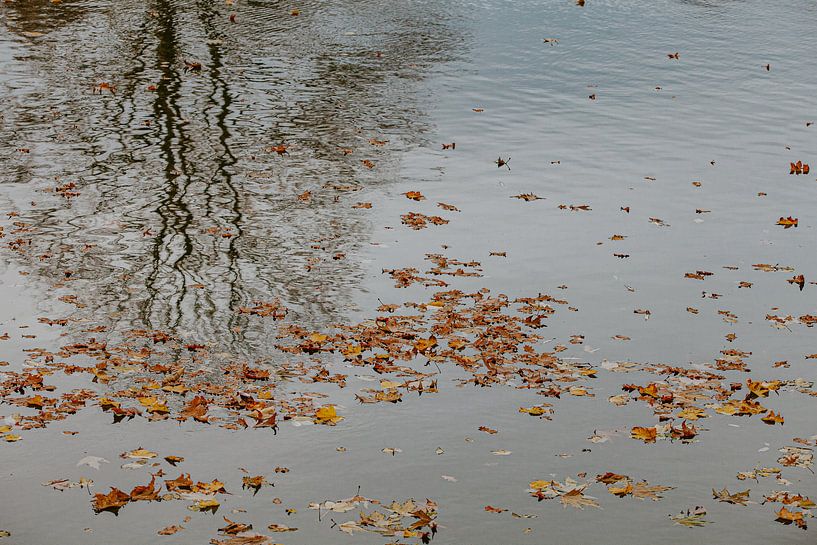 parcourir par Huib Vintges