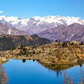 Monte Rosa  von Lumi Toma