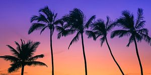 Sonnenuntergang auf Maui