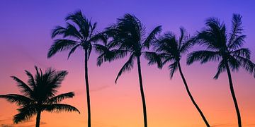 Zonsondergang op Maui van Henk Meijer Photography