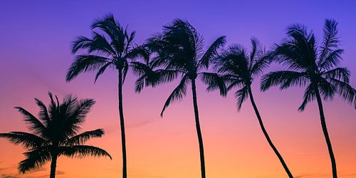 Zonsondergang op Maui, Hawaï