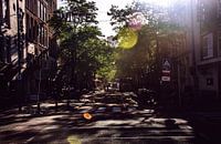 Zomers sfeertje in Rotterdam