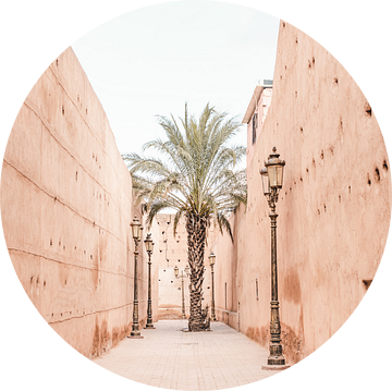 Palmboom in de Medina van Marrakech van Leonie Zaytoune