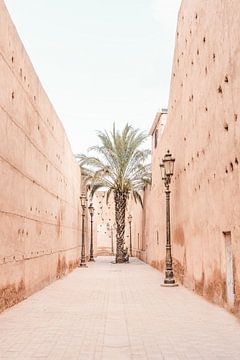 Un palmier dans la Médina de Marrakech sur Leonie Zaytoune