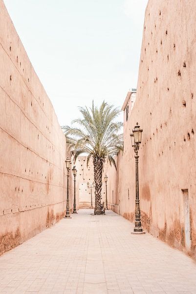 Un palmier dans la Médina de Marrakech par Leonie Zaytoune