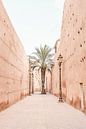 Palme in die Altstadt von Marrakesh von Leonie Zaytoune Miniaturansicht