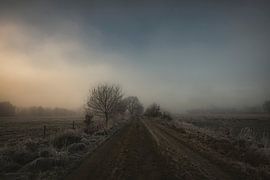 Almost evening by Ruud Krispijn