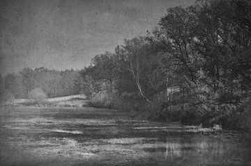 The Flooded Field