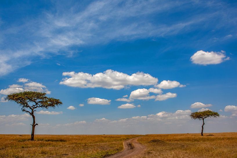 De weg naar het paradijs van Peter Michel