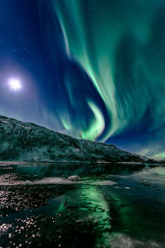 Aurora Nordpolarlicht am Nachthimmel über Nordnorwegen von Sjoerd van der Wal Fotografie