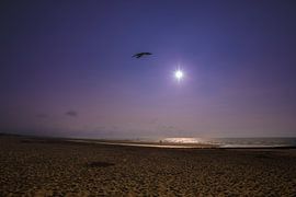 zon, zee en strand Zeeuwse kust von T de Smit