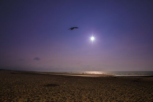 zon, zee en strand Zeeuwse kust