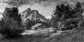 Holzhaus auf einer Alm in den Dolomiten in schwarzweiss von Manfred Voss, Schwarz-weiss Fotografie