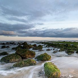 Visible running water by Yvonne van Leeuwen