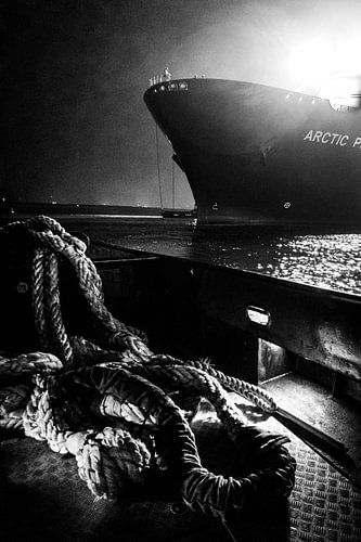 Traversen und Schiffe im Hafen von Rotterdam