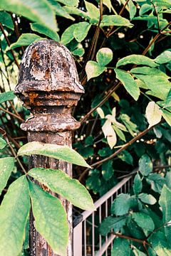 "Weathered beauty: The rusty fence post and the green hedge" | Bünde 09/2033 by Momentaufnahme | Marius Ahlers