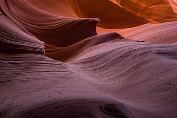 Kleurrijk lijnenspel Antelope Canyon van Jeffrey Van Zandbeek