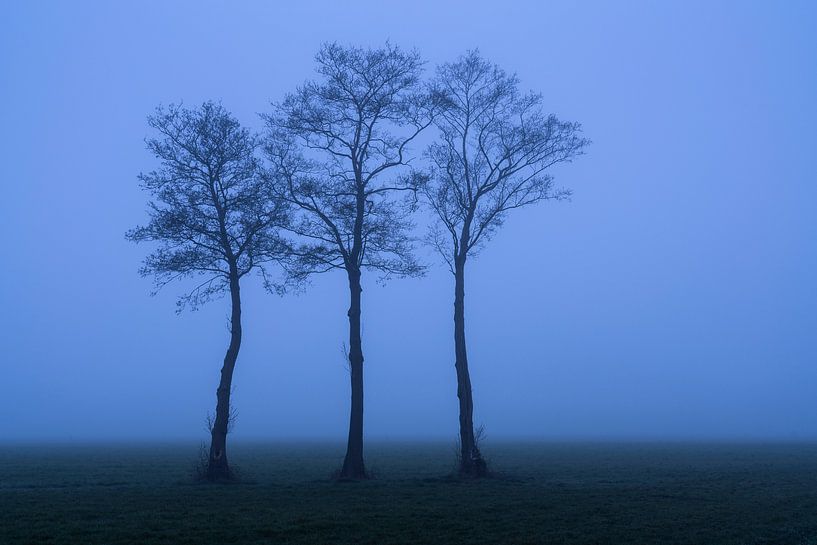 Dichte mist in de polder van Rick Kloekke