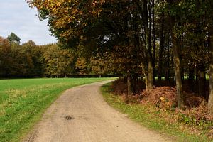 Ein Weg über ein Anwesen im Herbst.