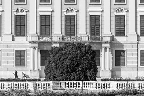 Photographie en noir et blanc du château de Schönbrunn, Vienne