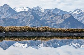 Le groupe du Venediger