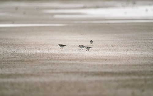 Silence sur la ligne de flottaison