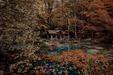 Hut at Blausee in autumn by Fabiroams