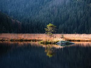 Schwimmende Insel im Sonnenaufgang