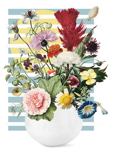 Still Life - in Summer Sun