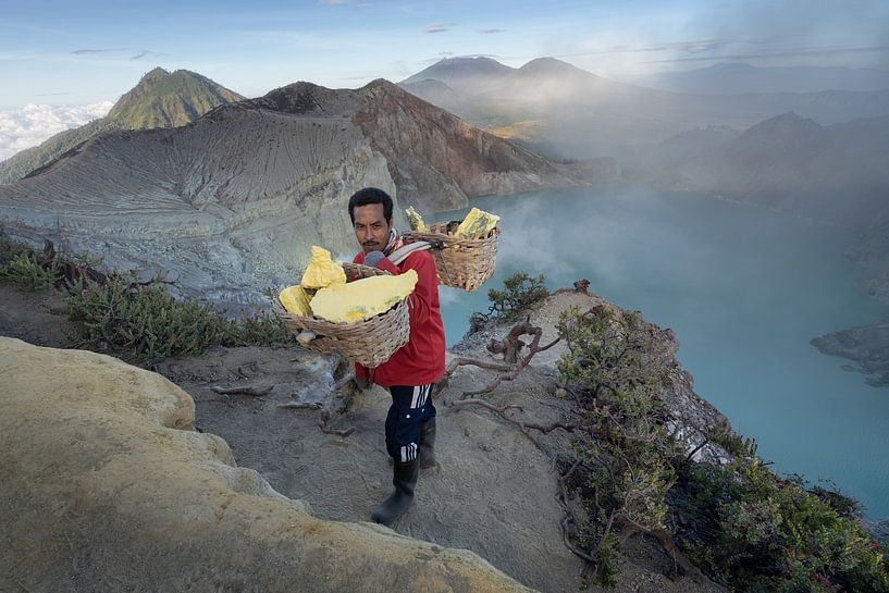 The sulphur miner by Anges van der Logt
