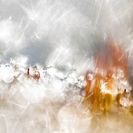 Haarmoos reif | Künstlerische Naturfotografie von Nanda Bussers
